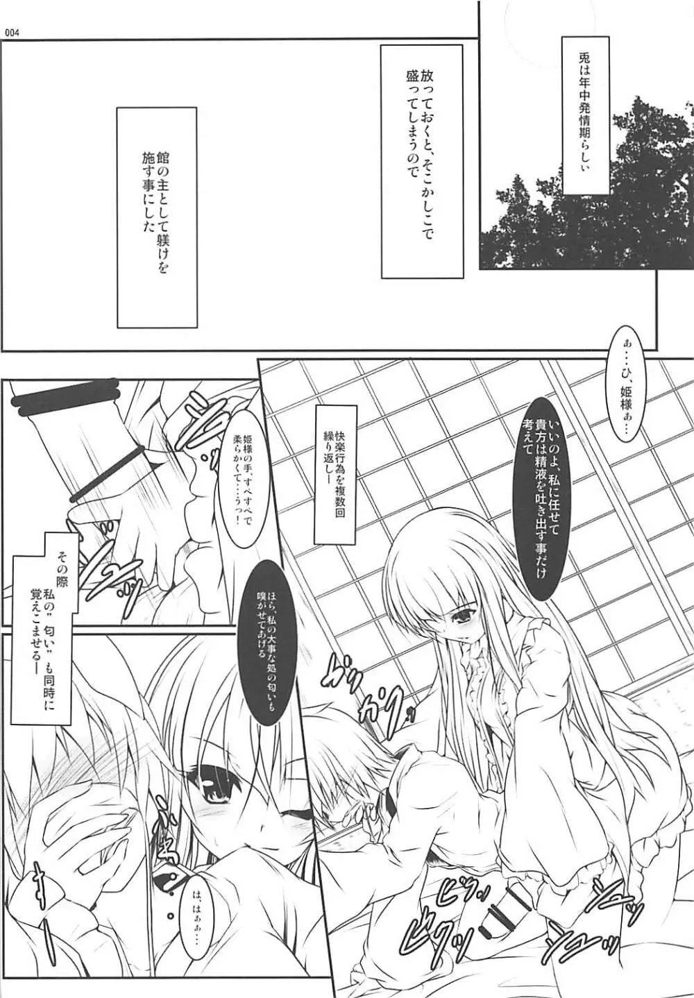 姫様式 兎ノ躾 3ページ