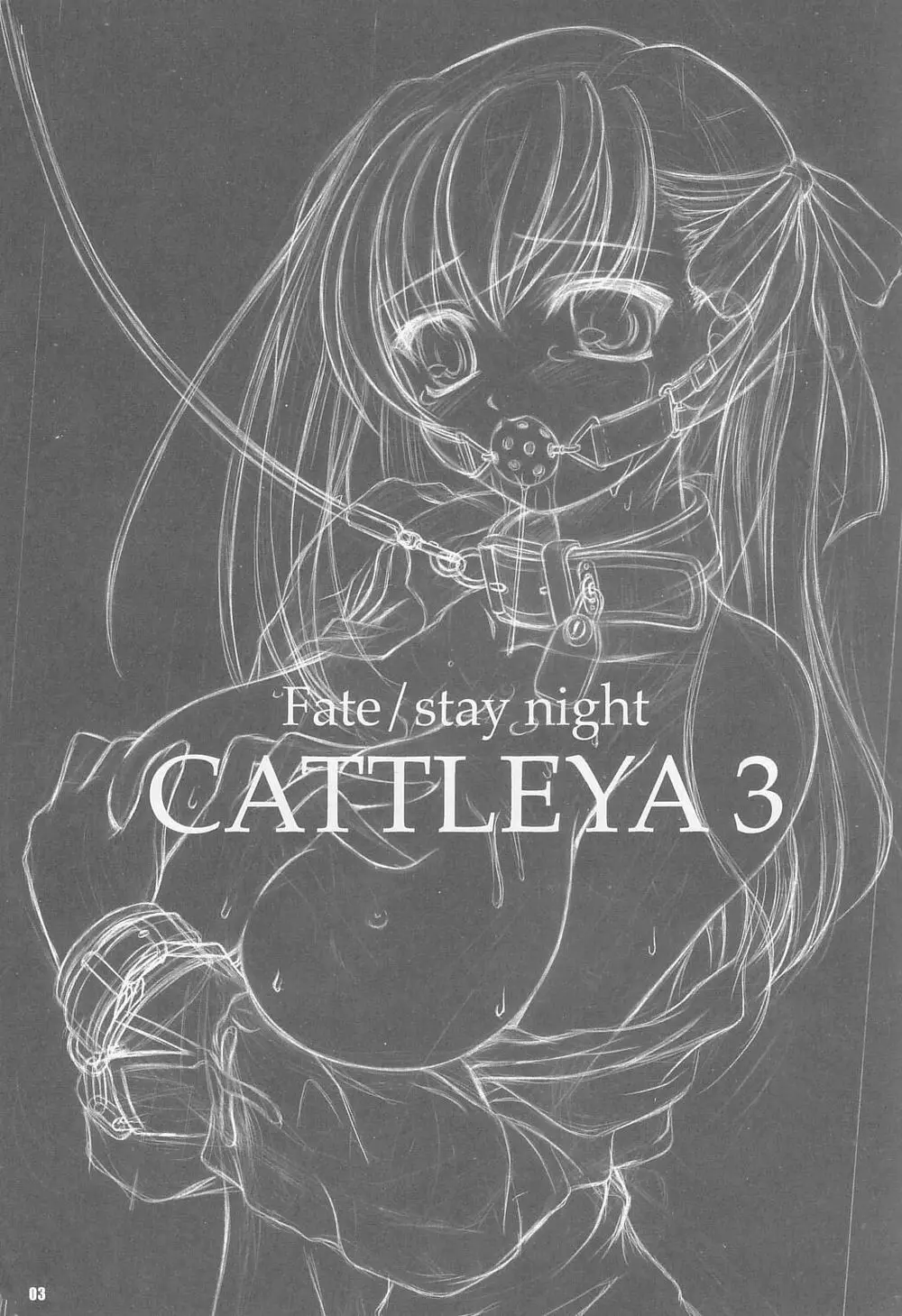 CATTLEYA 3 2ページ