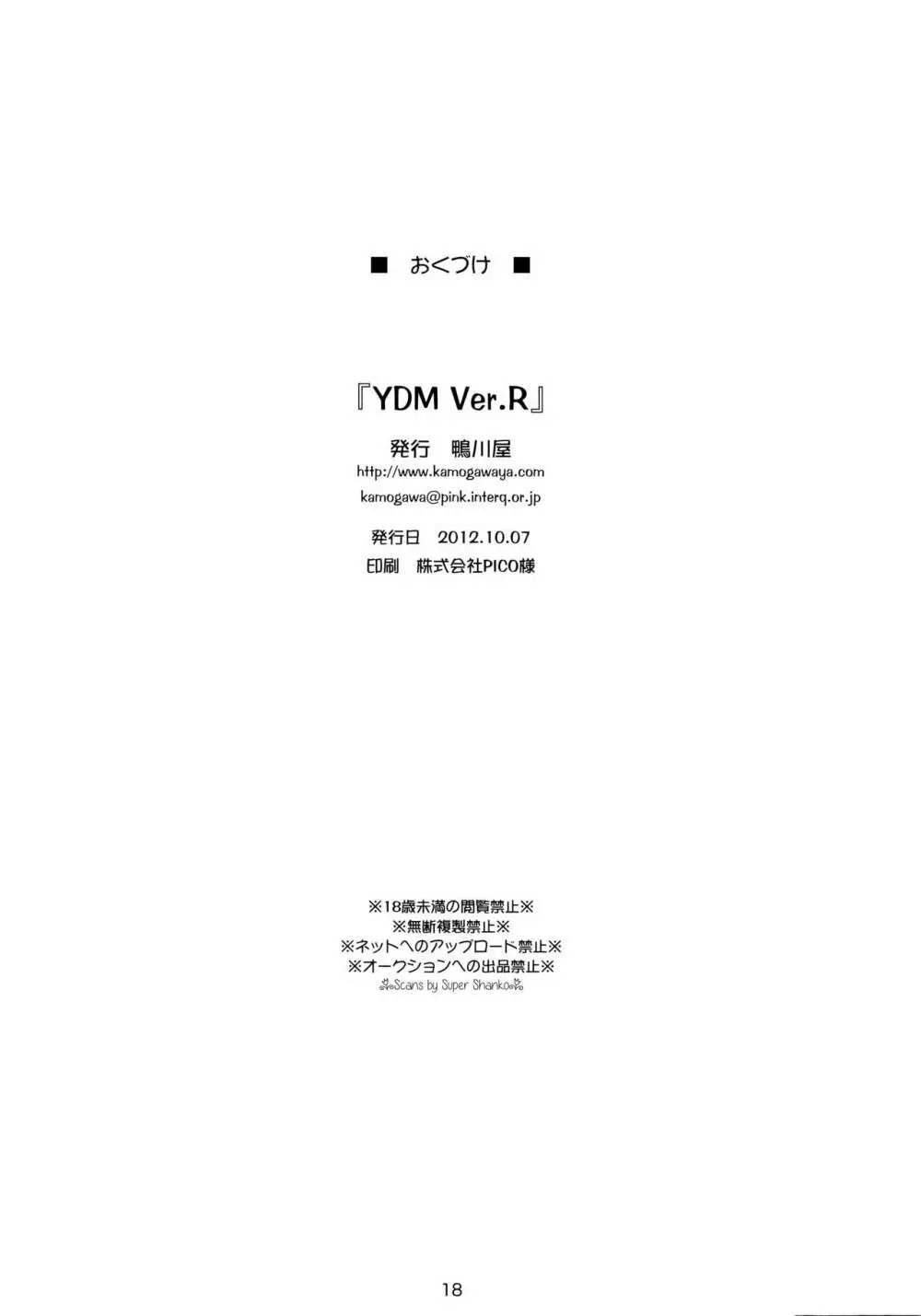 Y.D.M Ver.R Limited Edition 17ページ
