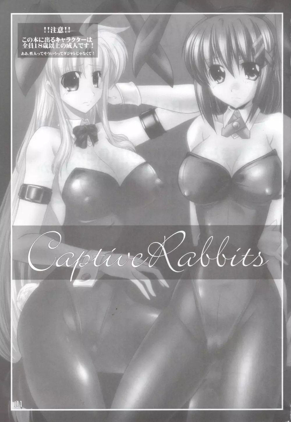 Captive Rabbitl 2ページ