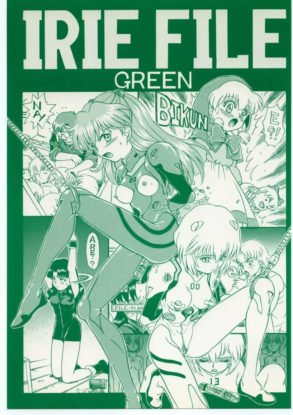 IRIE FILE GREEN 1ページ