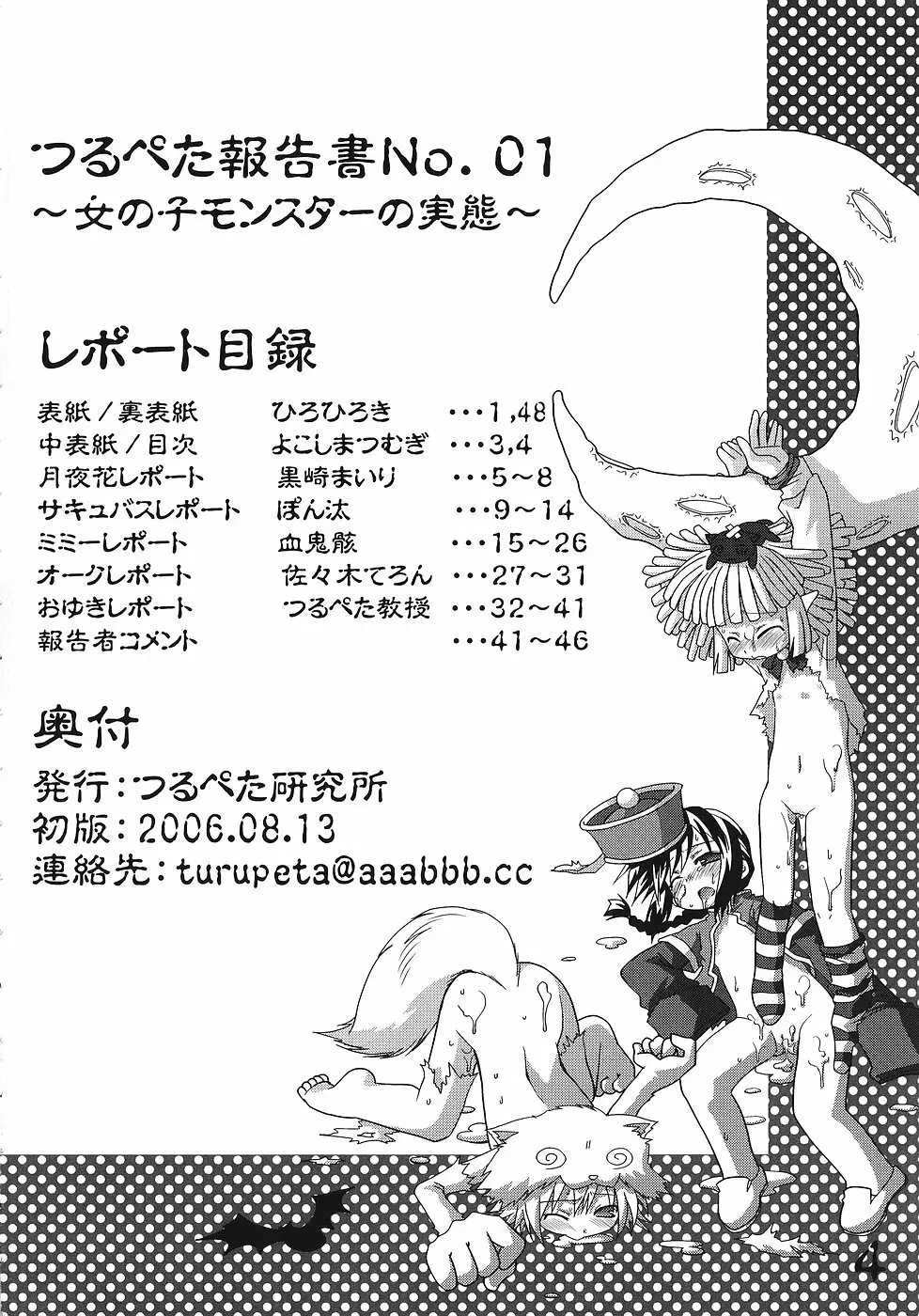 Tsurupeta Kenkyuusho Houkokusho 3ページ