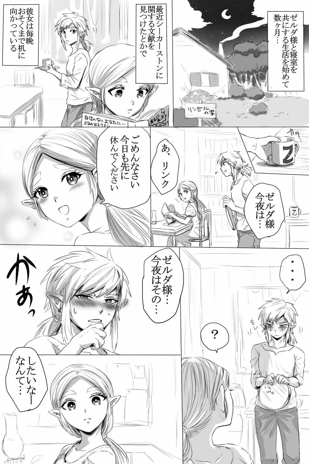 ブレワイのリンゼルがひたすらいちゃいちゃしてすけべなことする漫画 1ページ