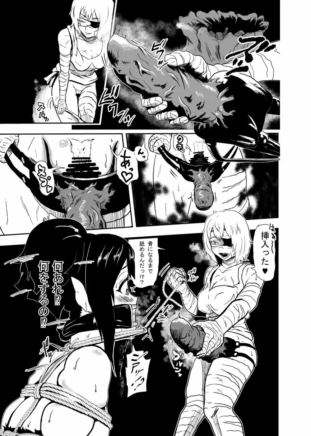 ヴァンパレイド2 ～吸血鬼 三姉妹 捕縛編～ 13ページ