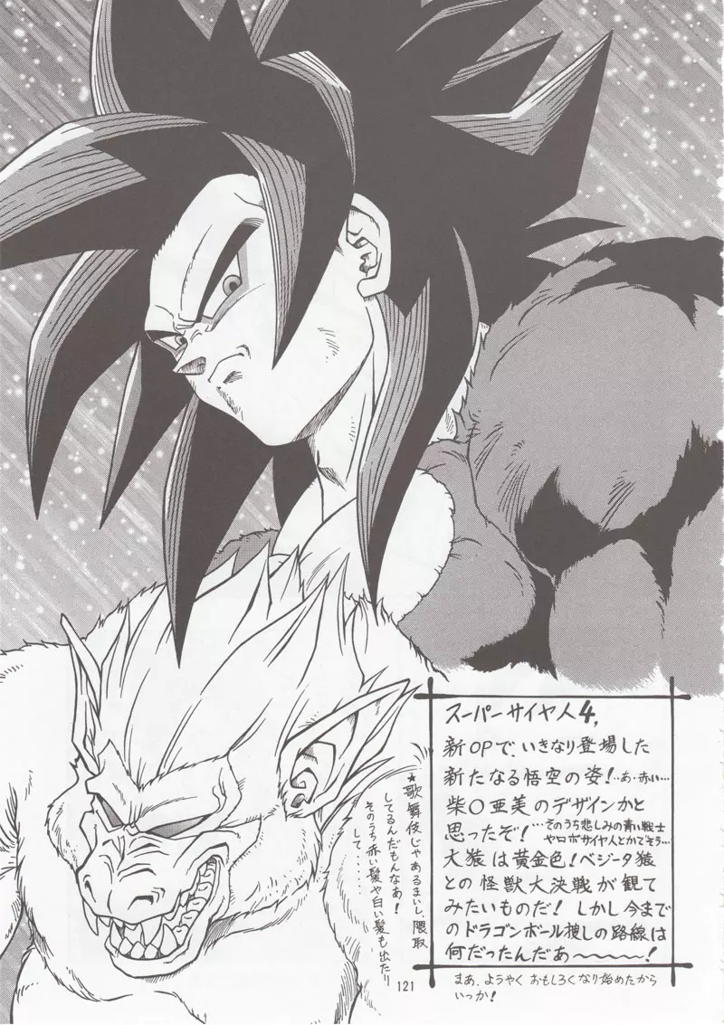 ドラゴンボールH 別冊 総集編 120ページ