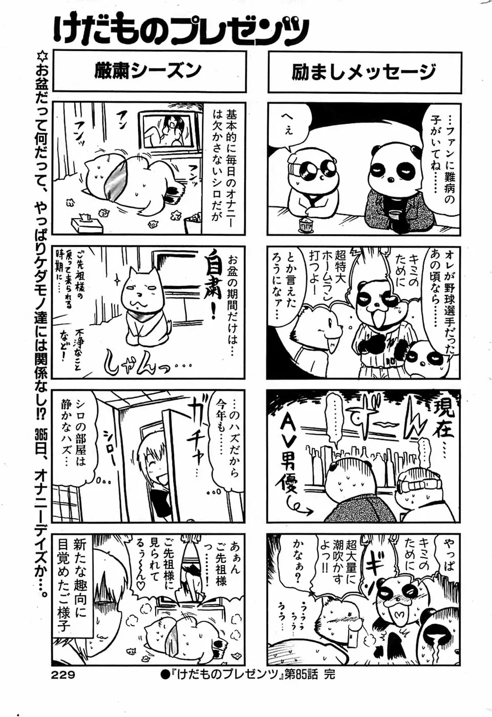 COMIC バズーカ 2007年09月号 229ページ