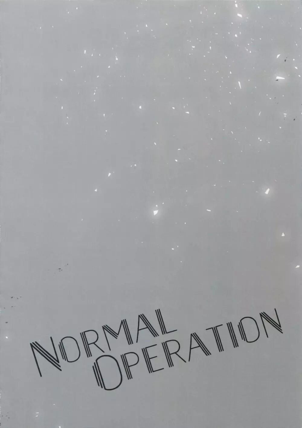 NORMAL OPERATION 3ページ