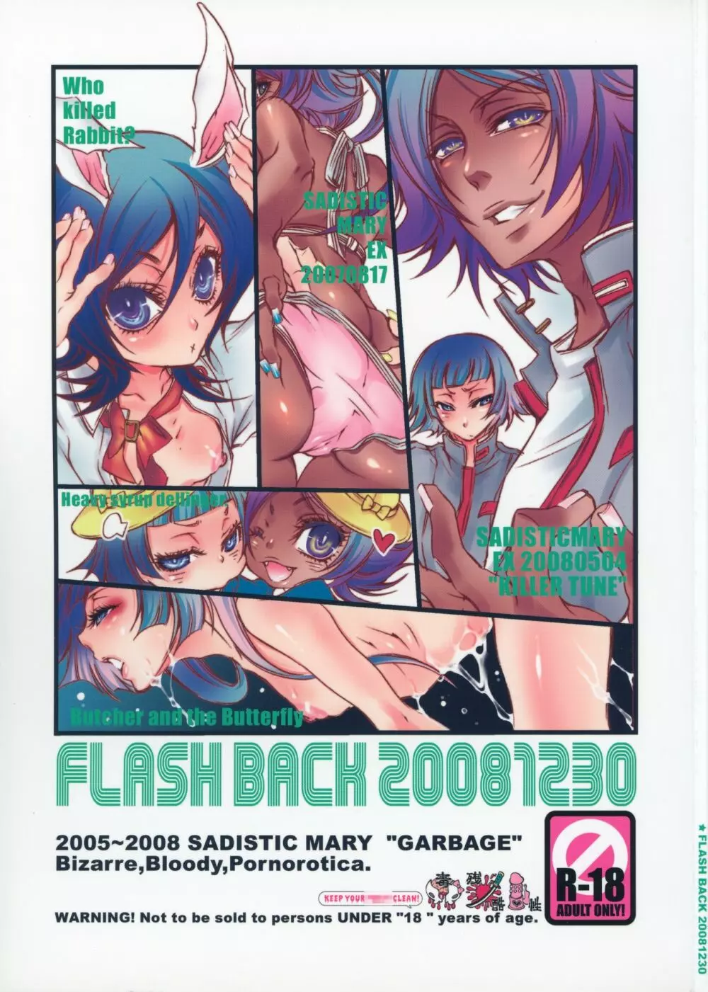 FLASH BACK 20081230 1ページ