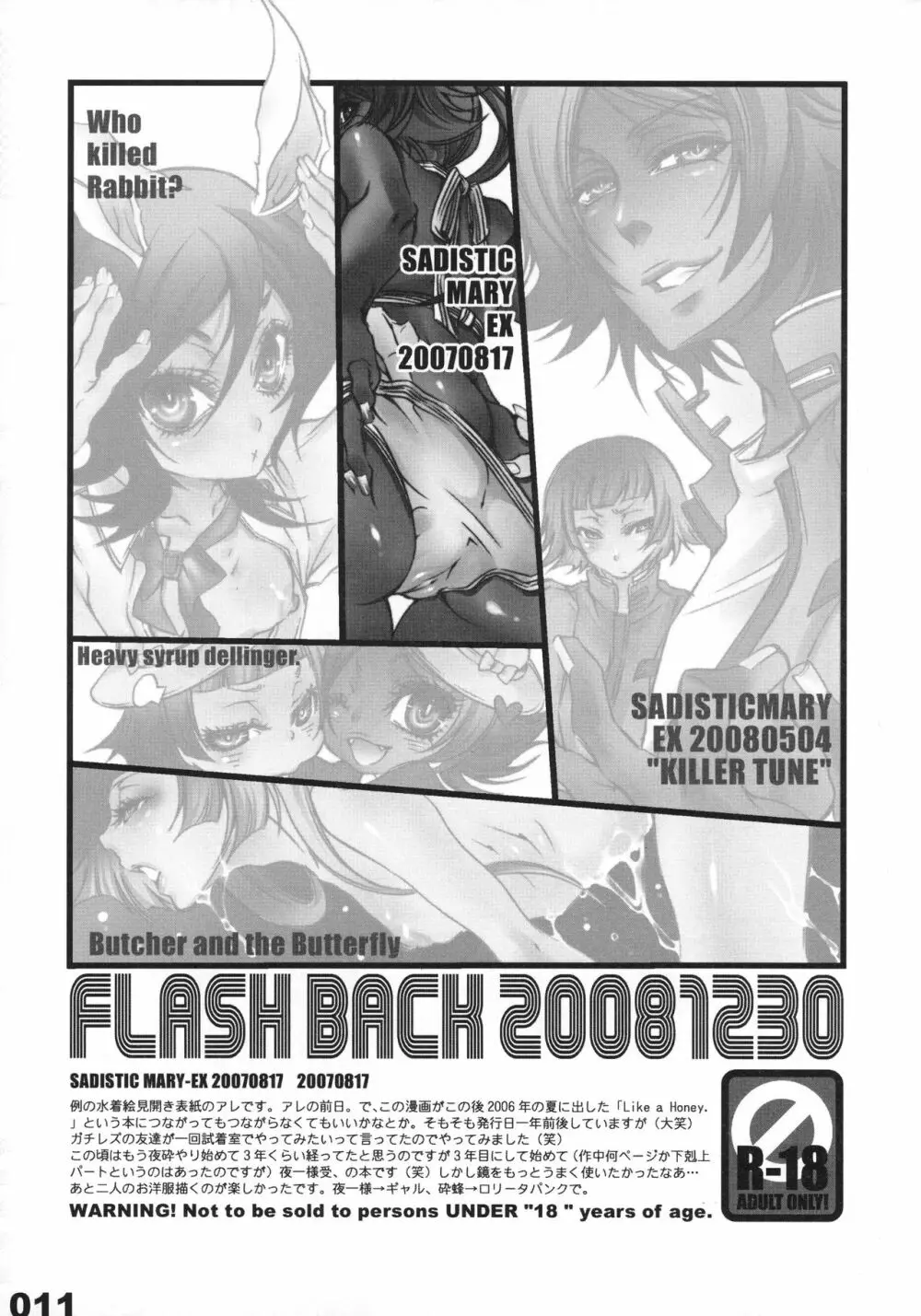 FLASH BACK 20081230 11ページ
