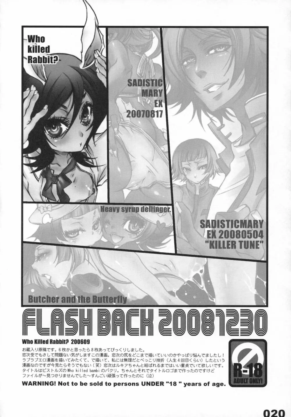 FLASH BACK 20081230 20ページ