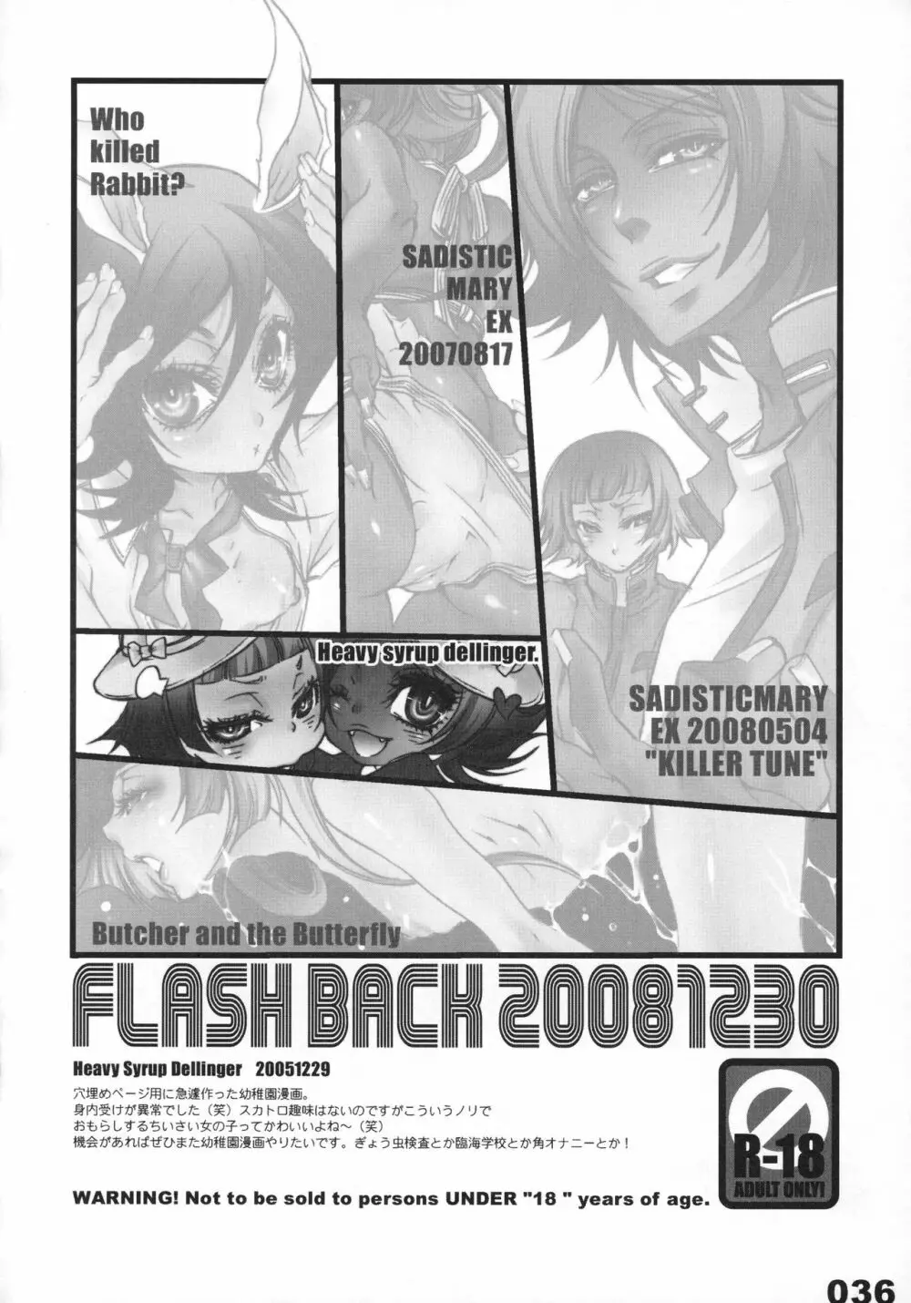 FLASH BACK 20081230 36ページ