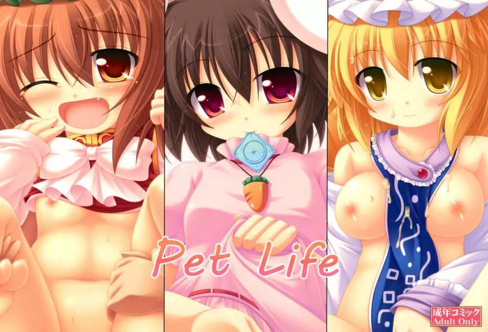 Pet Life 1ページ