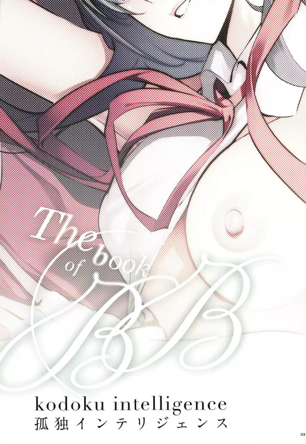 the book of BB 2ページ