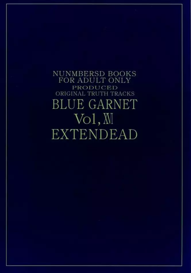 BLUE GARNET ⅩⅥ EXTENDEAD 41ページ