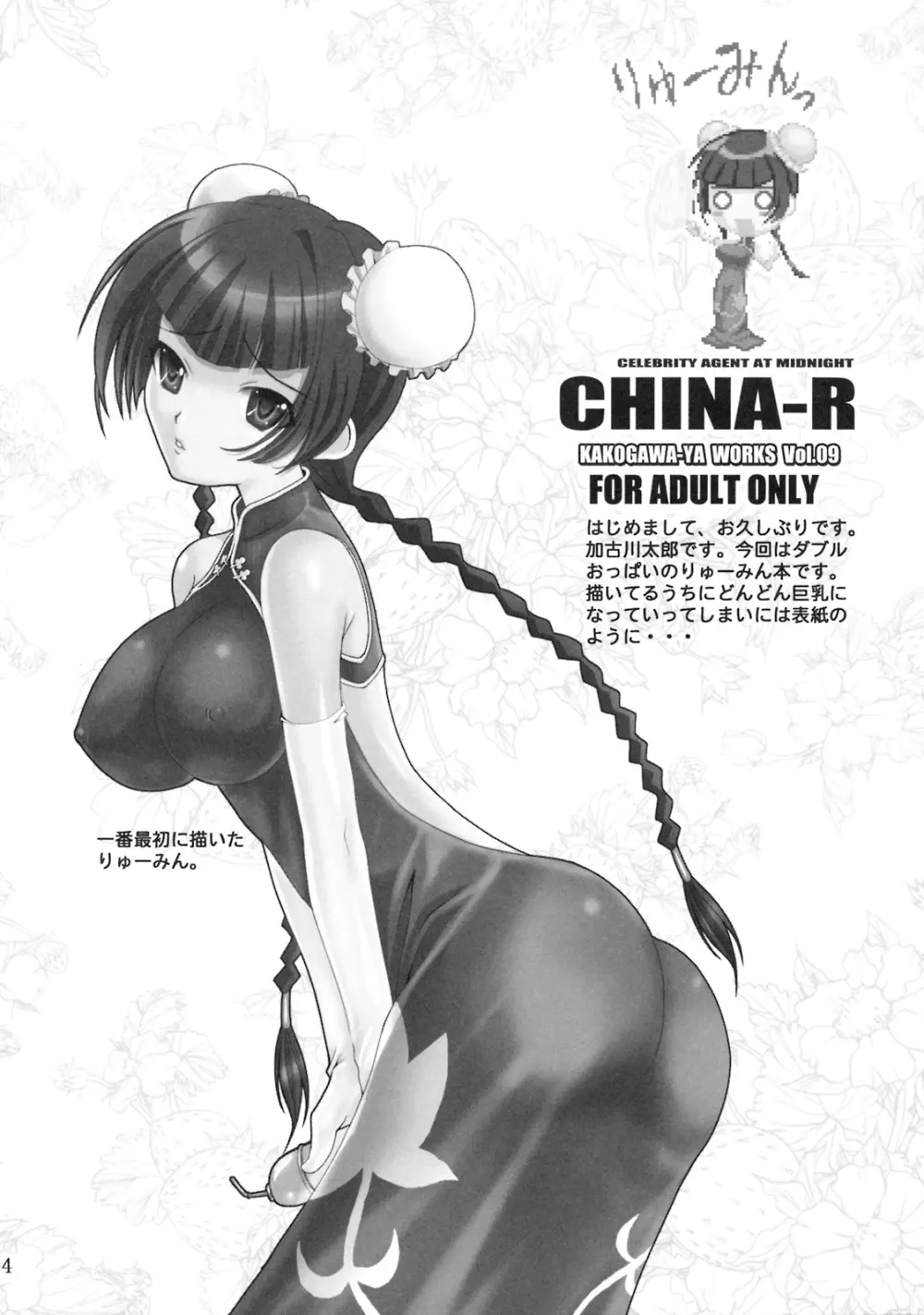 CHINA-R 3ページ