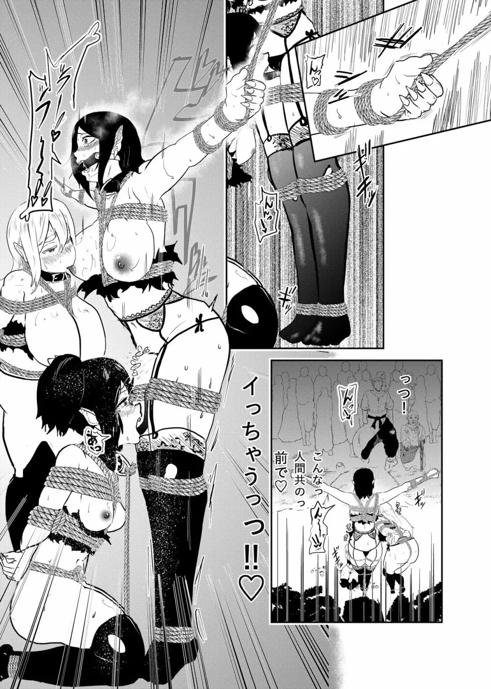 ヴァンパレイド5 ～吸血鬼 三姉妹 捕縛編～ 14ページ