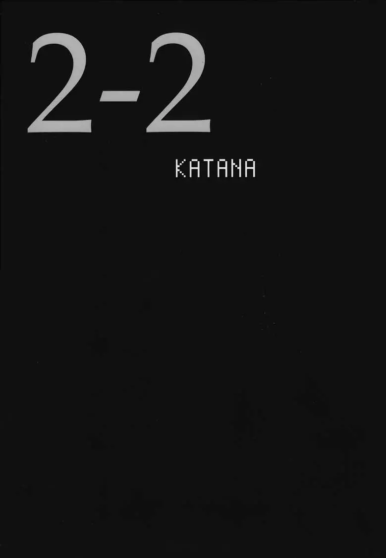 Dead or Alive 2-2 Katana 13ページ
