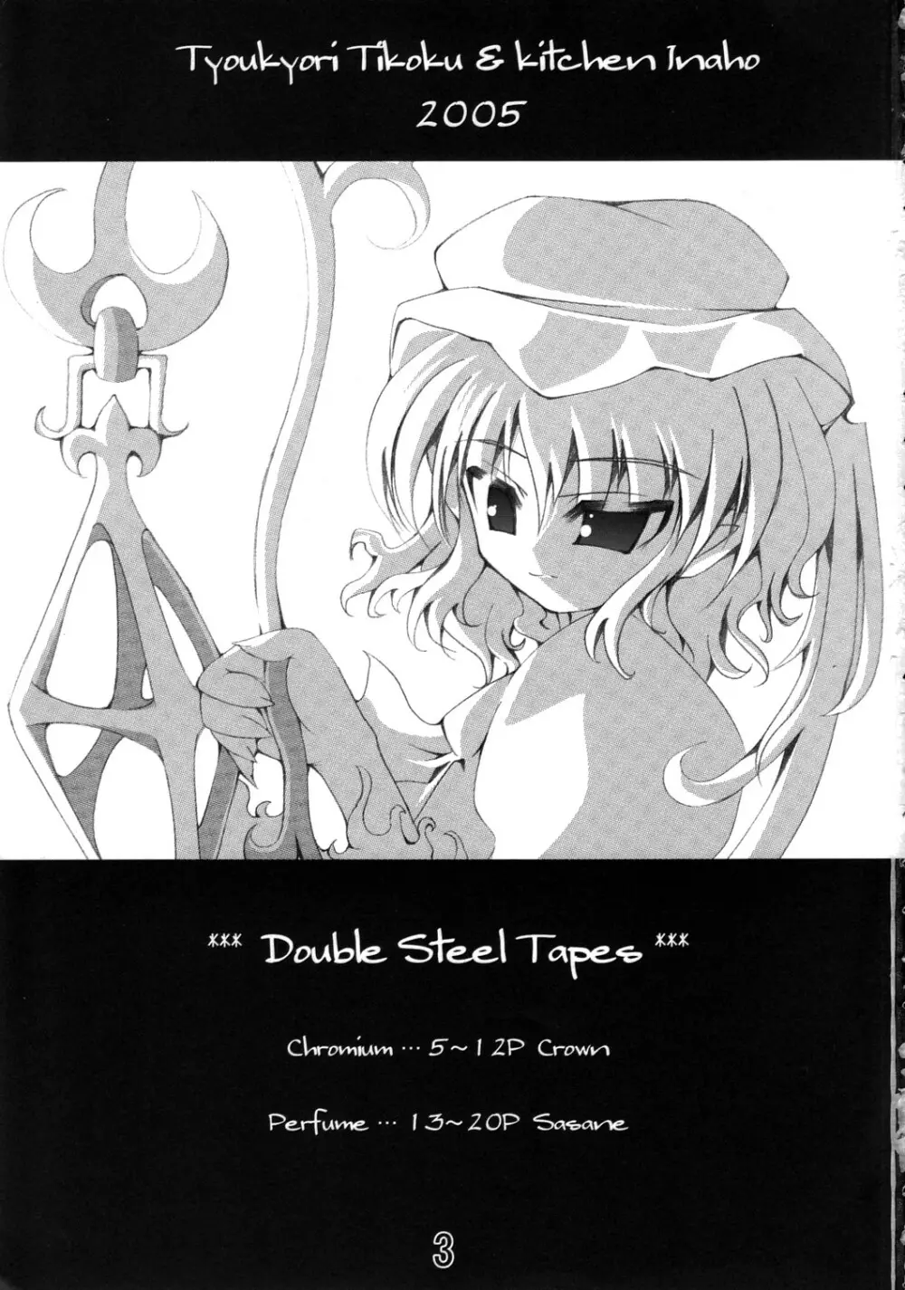 Double Steel Tapes 2ページ