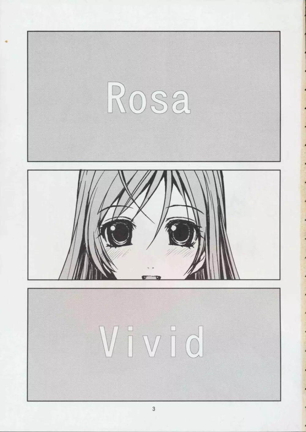 RV – Rosa Viva 3ページ
