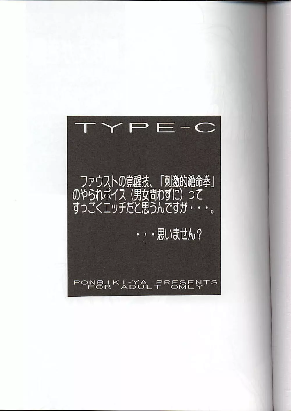 Type C 2ページ