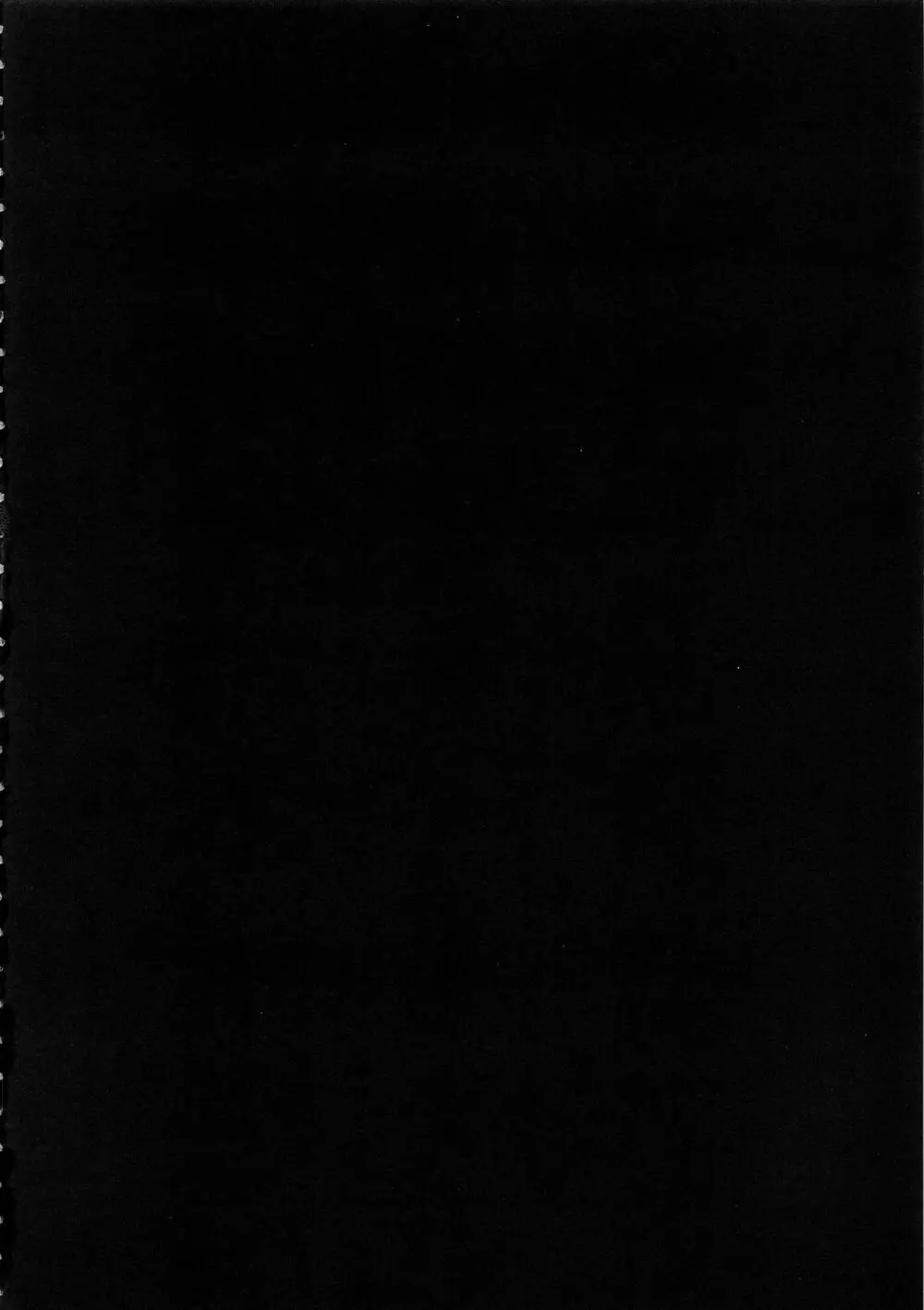 カルデアマニア・黒&白 3ページ