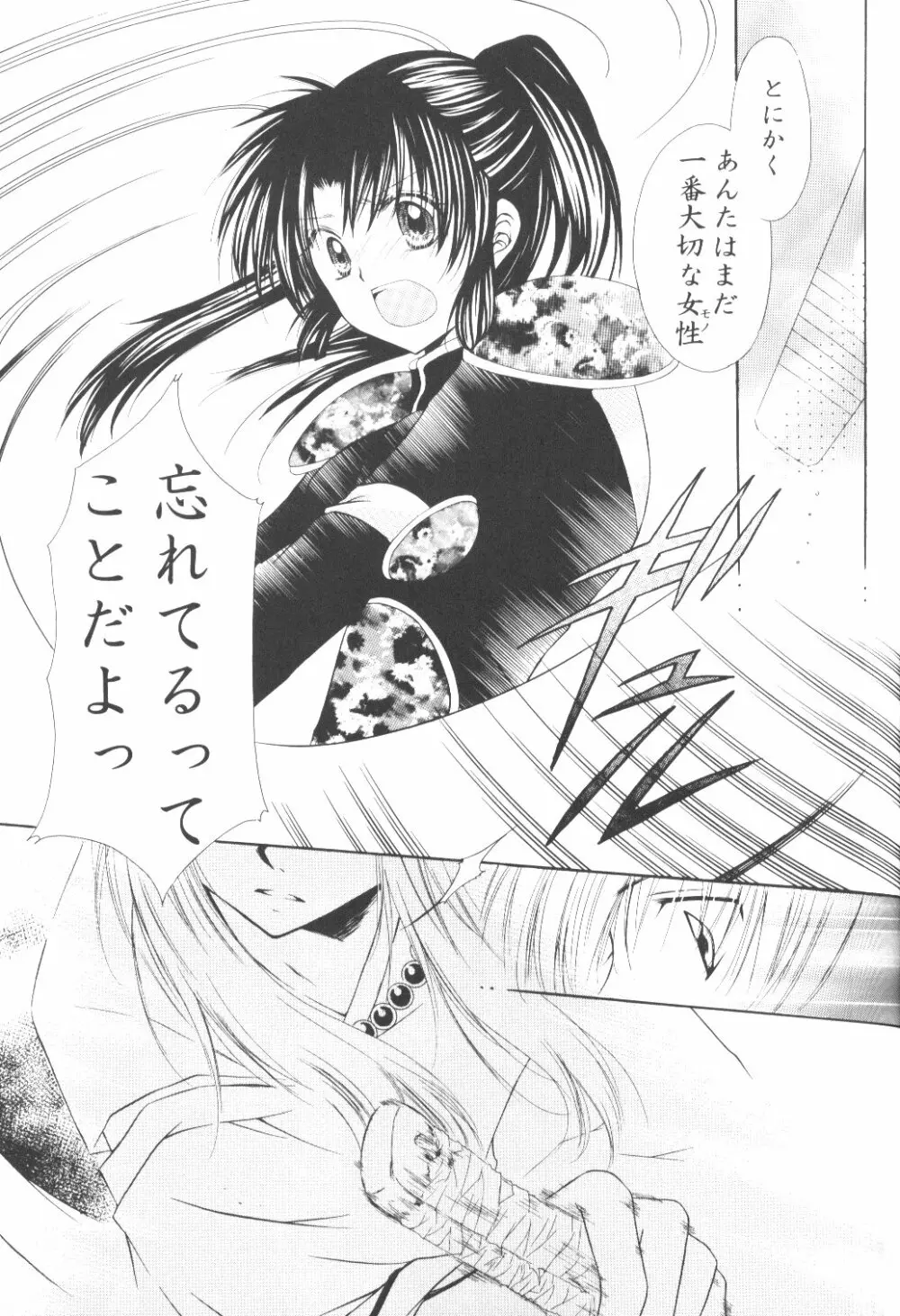 Ryuusei Ryodan 21ページ