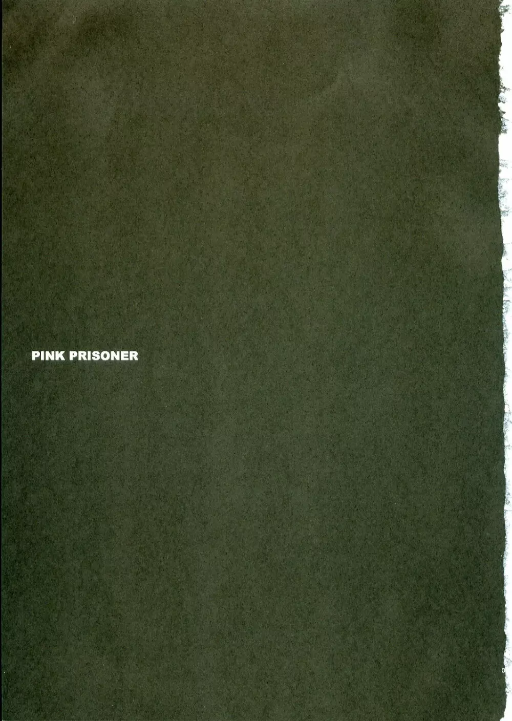 PINK PRISONER 2ページ