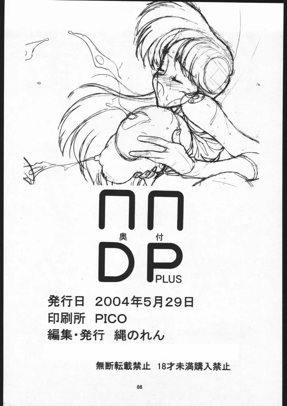 NNDP PLUS 85ページ