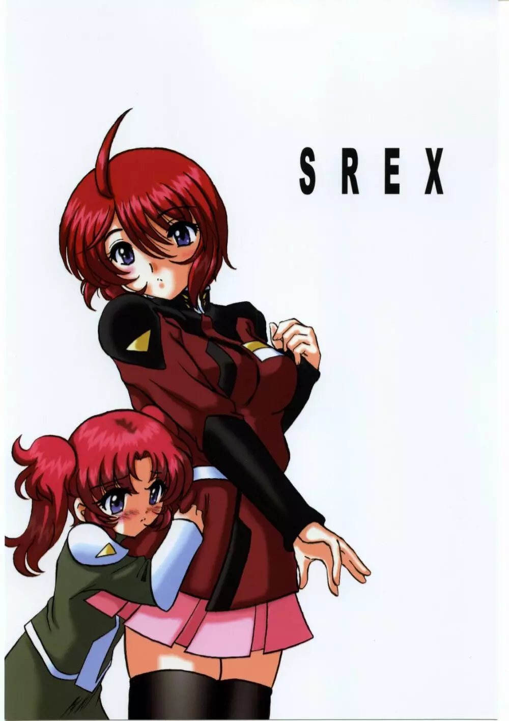 SREX 1ページ