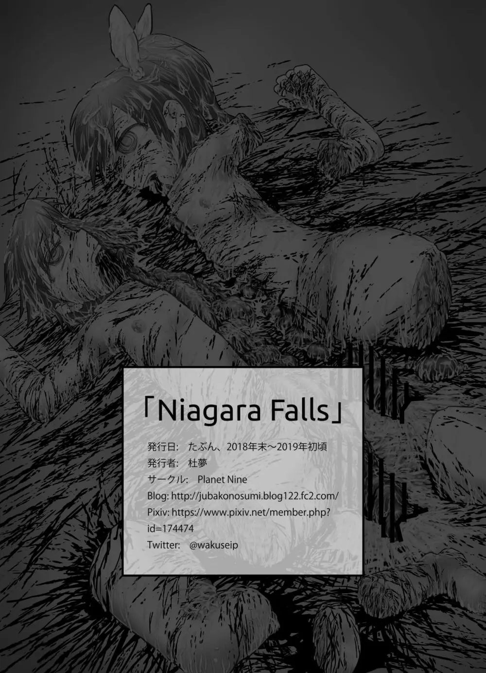 Niagara Falls 14ページ