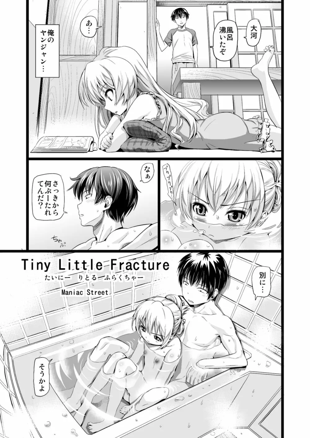 Tiny Little Fracture 2ページ