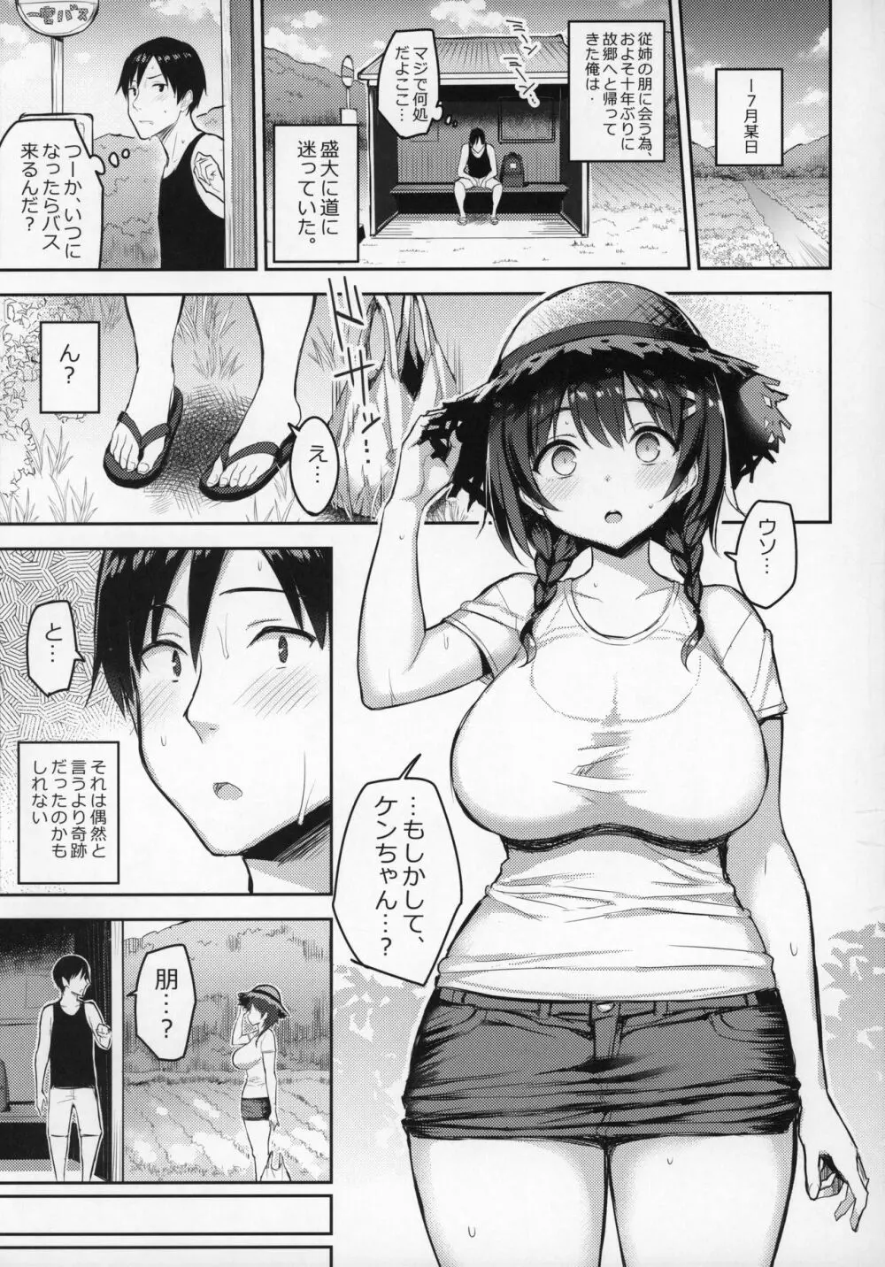 巨乳イトコがいる休暇2 3ページ