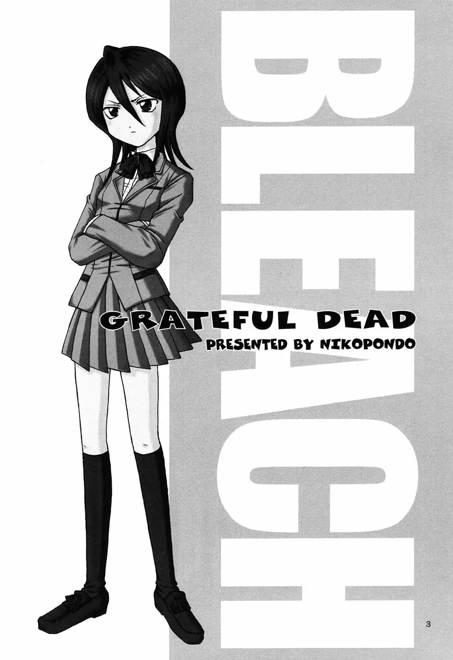 GRATEFUL DEAD 2ページ