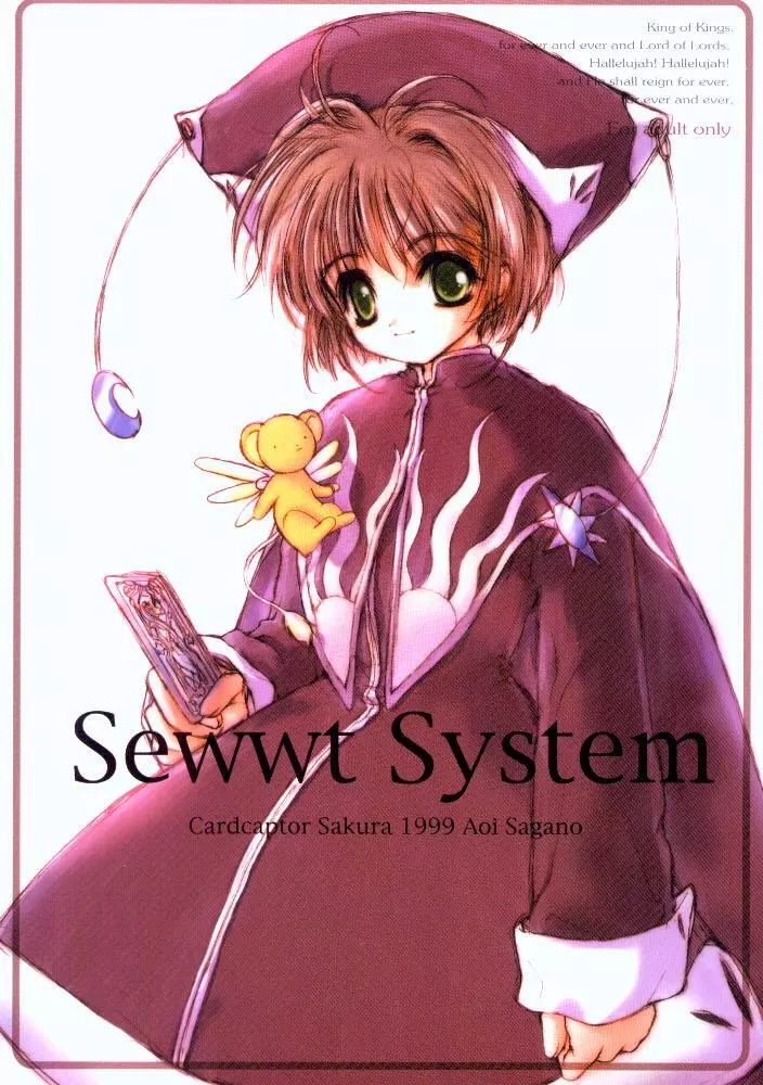Sewwt System 1ページ