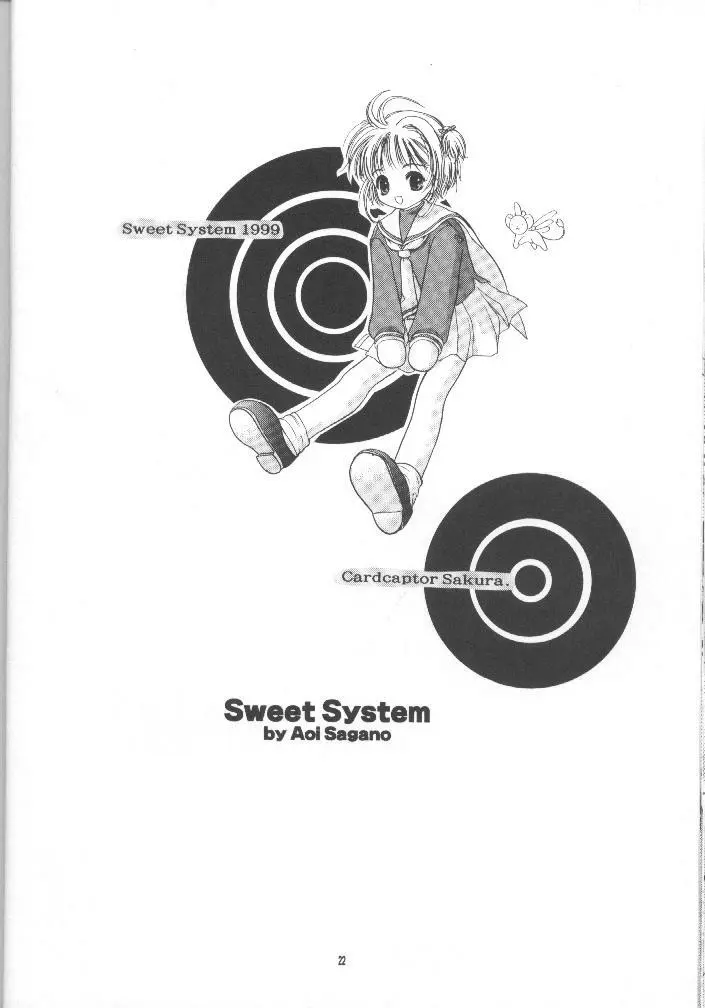 Sewwt System 21ページ