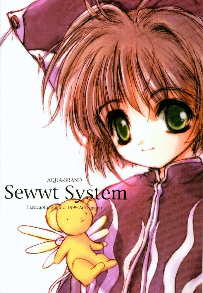 Sewwt System 22ページ