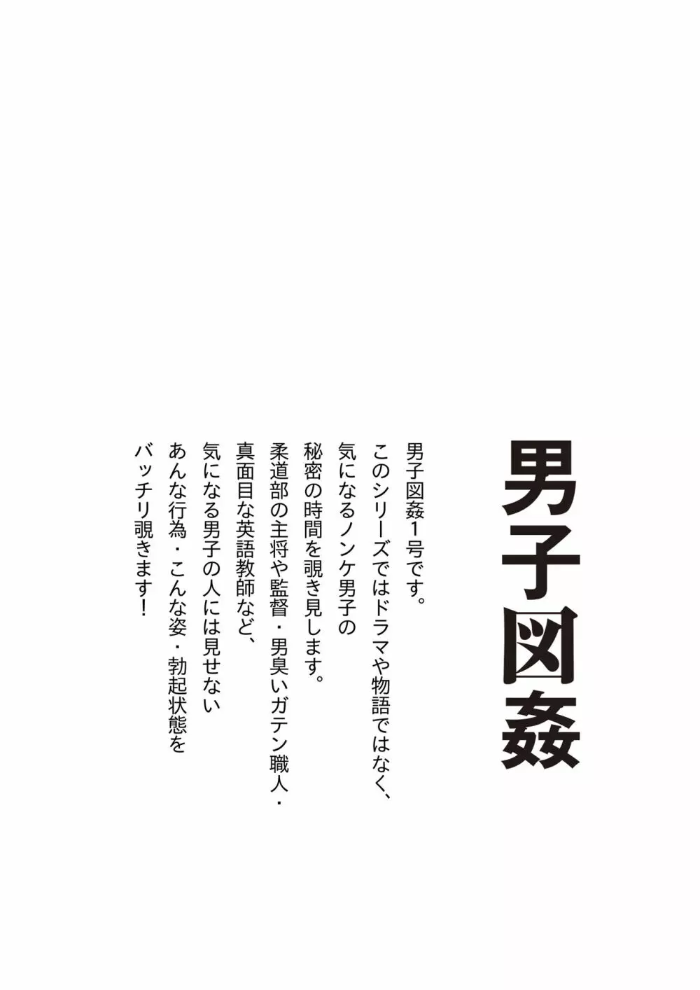男子図姦 vol.1 29ページ