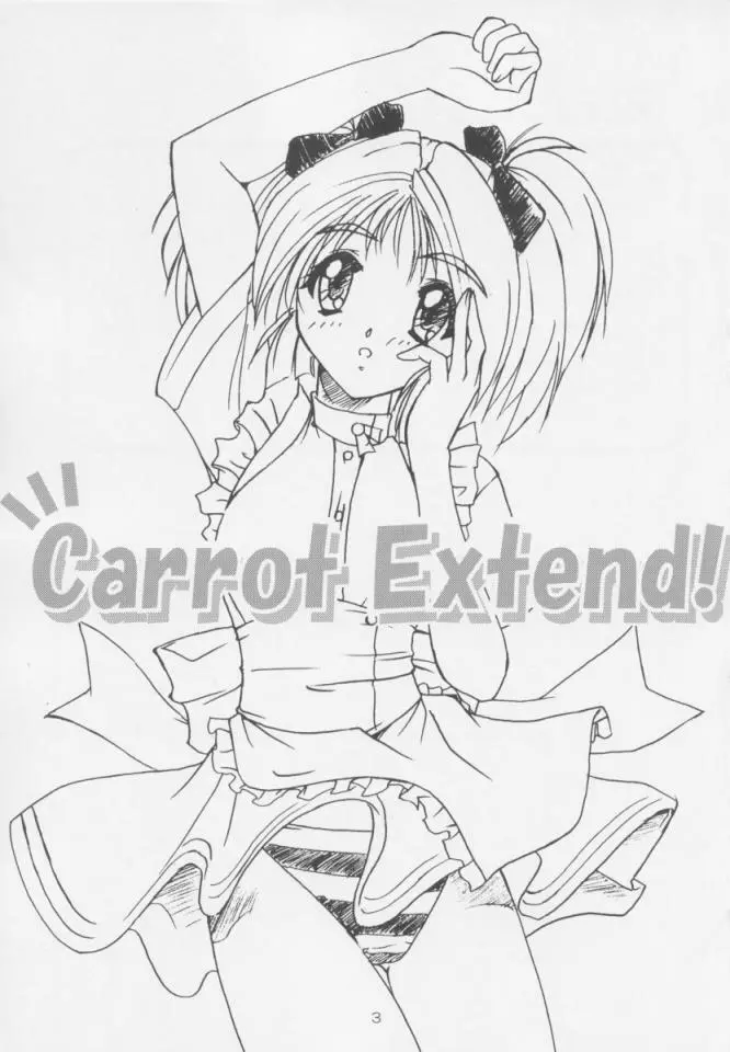 Carrot Extend! 2ページ