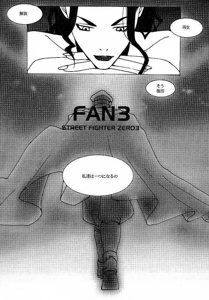 FAN3 6ページ