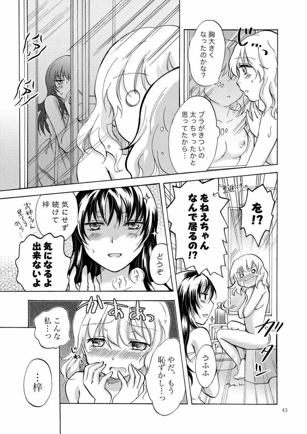 リリィガールズ・コレクション百合H短編集 42ページ