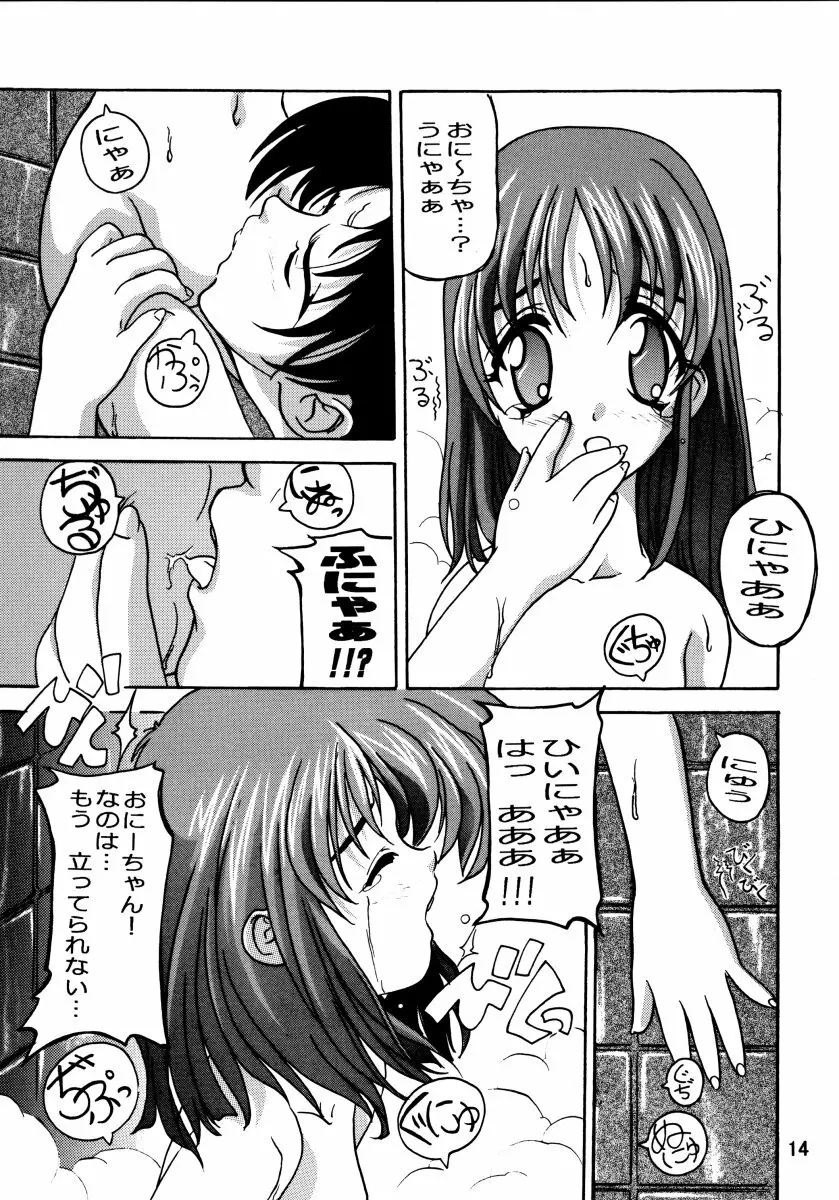 Nanohanatsumi 13ページ