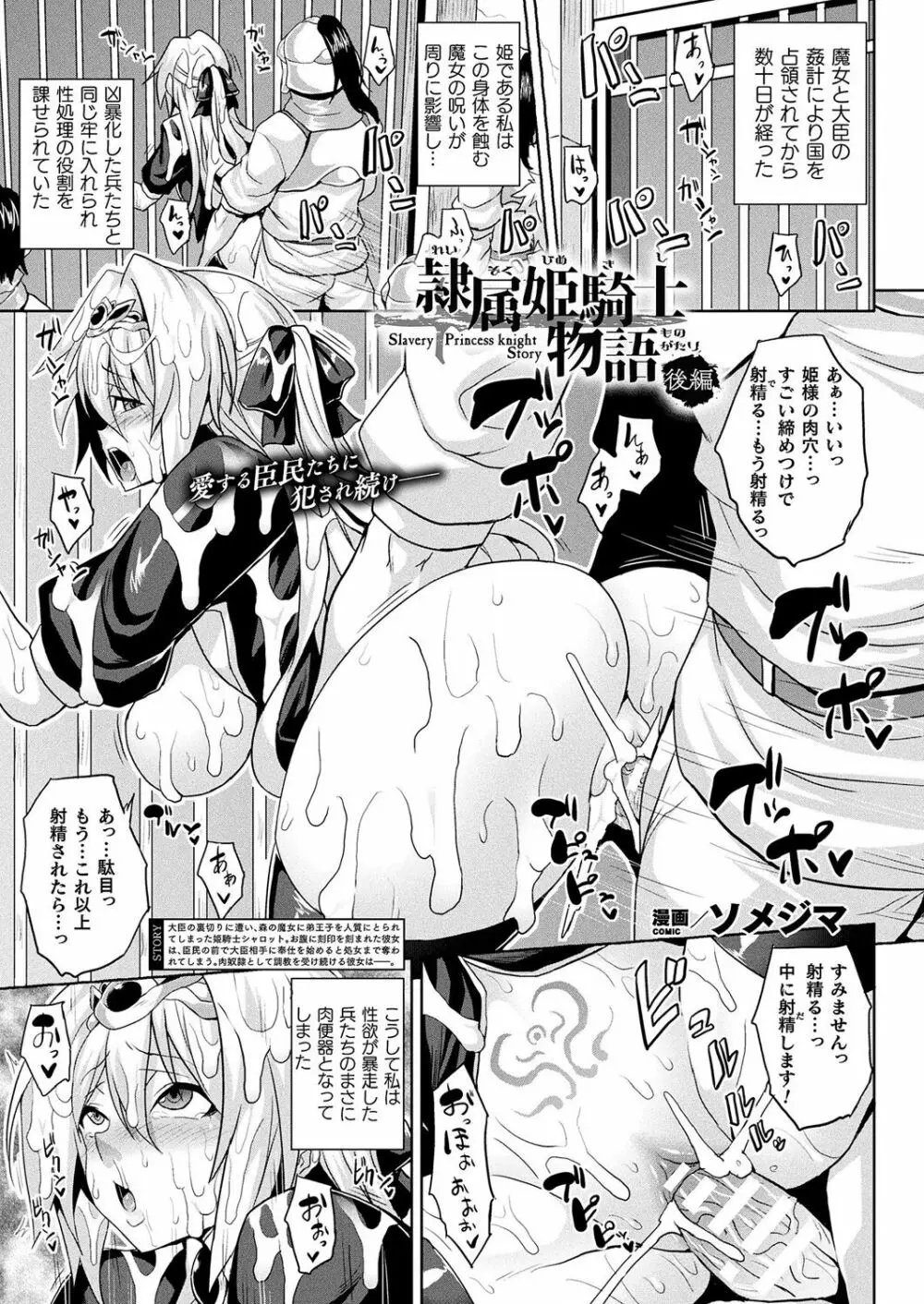 隷属姫騎士物語 幕間 13ページ