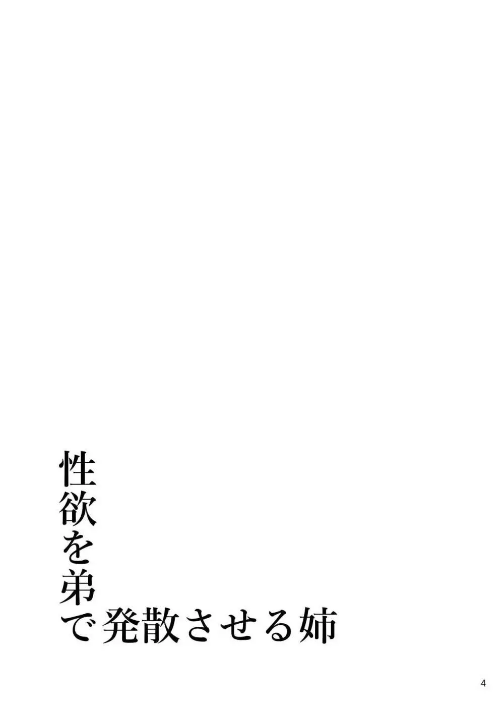 性欲を弟で発散させる姉 4ページ