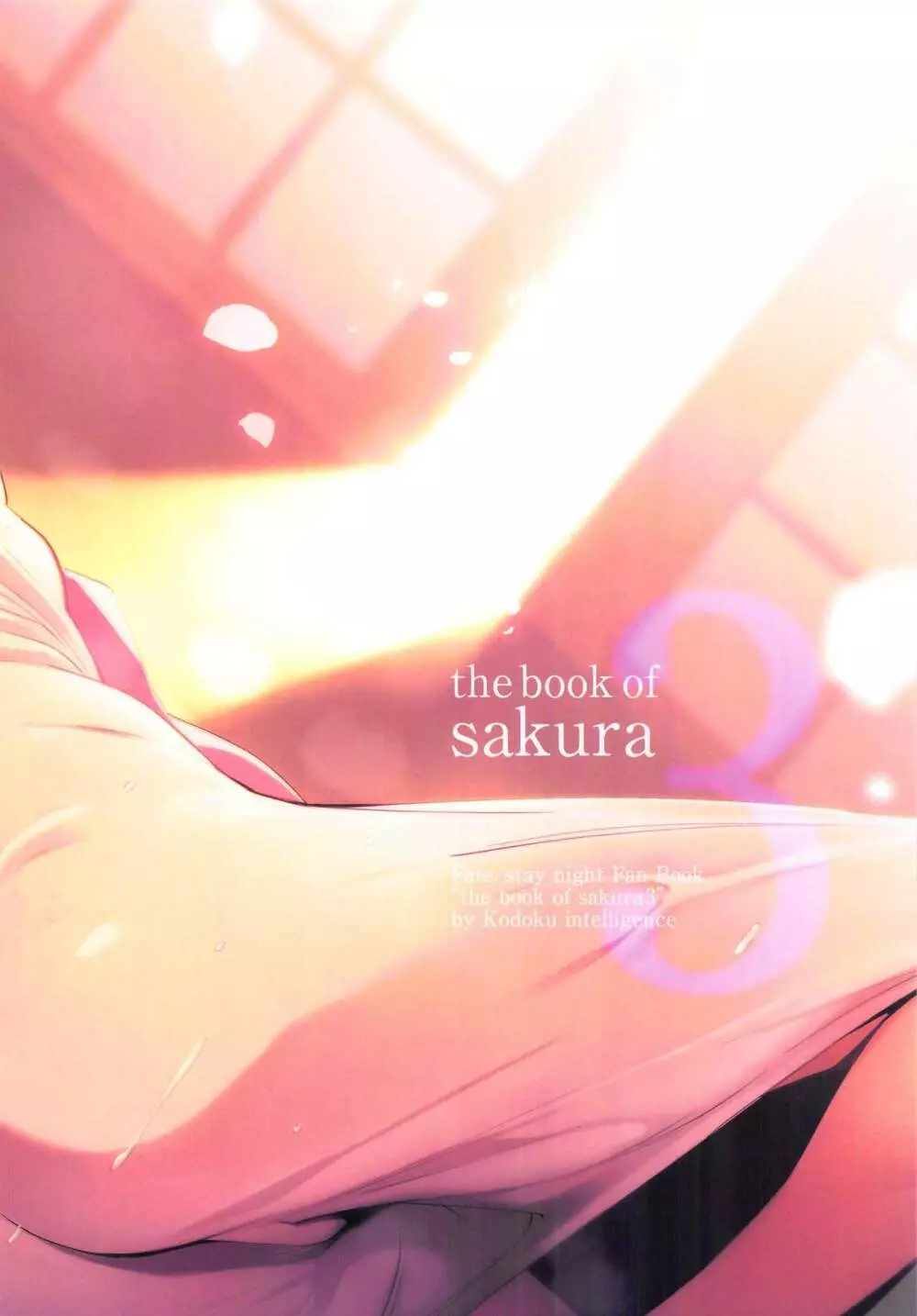 THE BOOK OF SAKURA 3 17ページ
