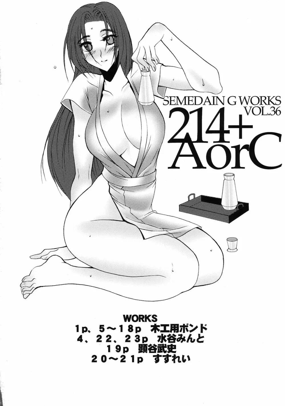 214+AorC 4ページ
