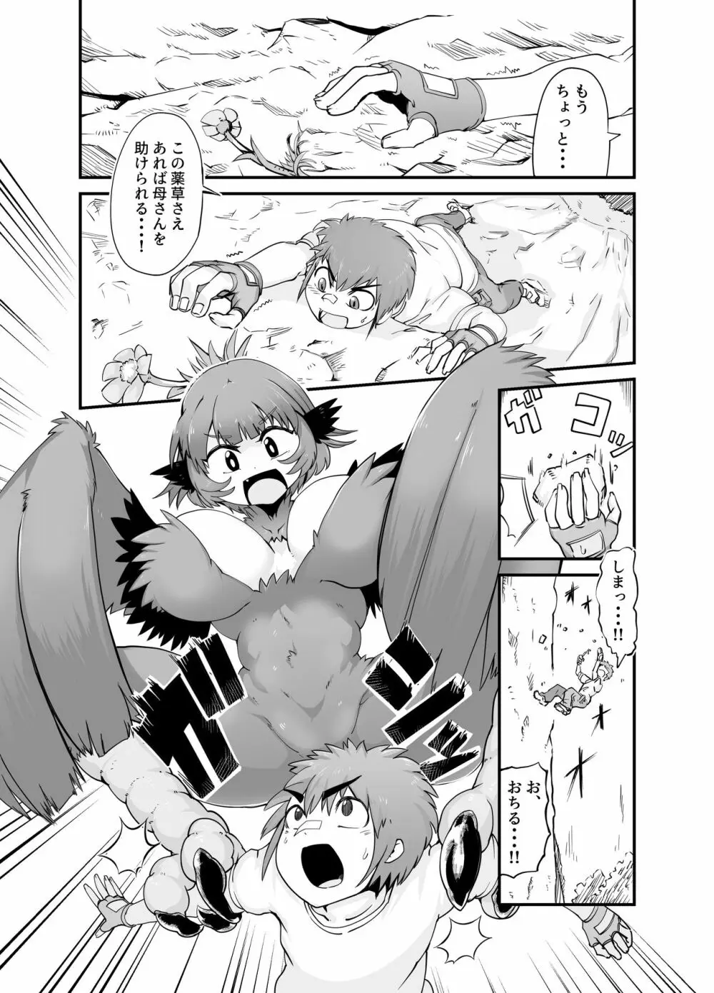 ぶっとび!ハーピィガール☆ 3ページ
