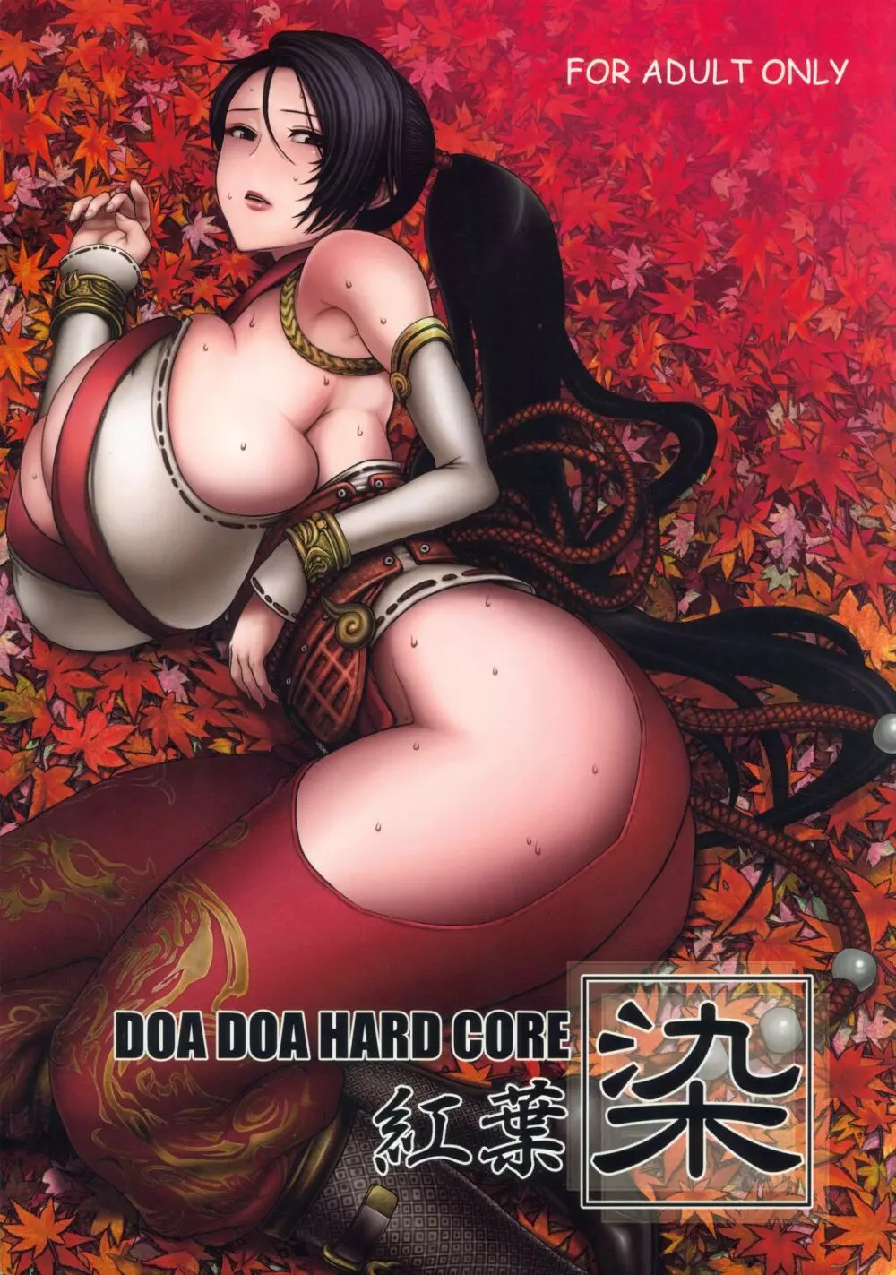 DOA DOA HARD CORE 紅葉染 1ページ