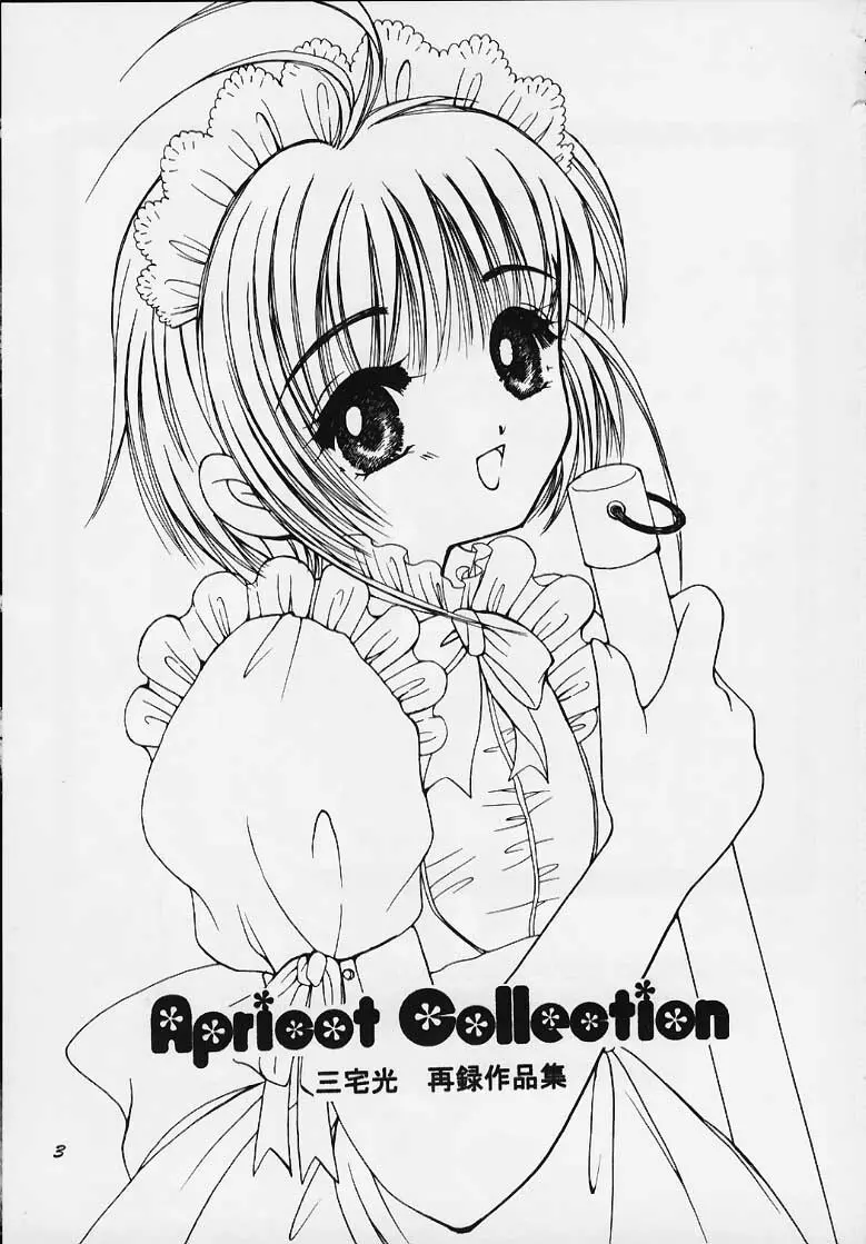 Apricot Collection 2ページ