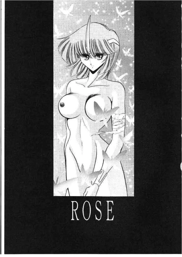 ROSE 2ページ
