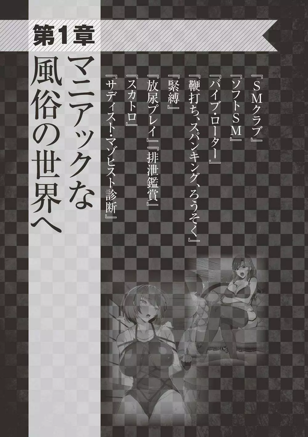 アブノーマル風俗入門 ラブドール風俗から、1000万円の風俗嬢まで 11ページ